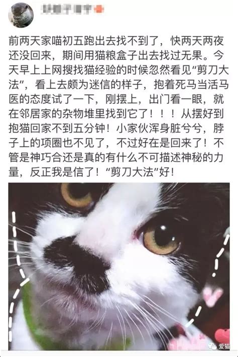 剪刀法原理|剪刀法找猫是什么原理？猫咪丢失后找回的正确方法